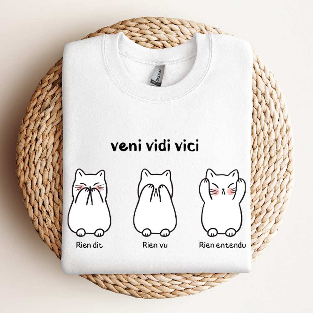 Crewneck - Veni vidi vici