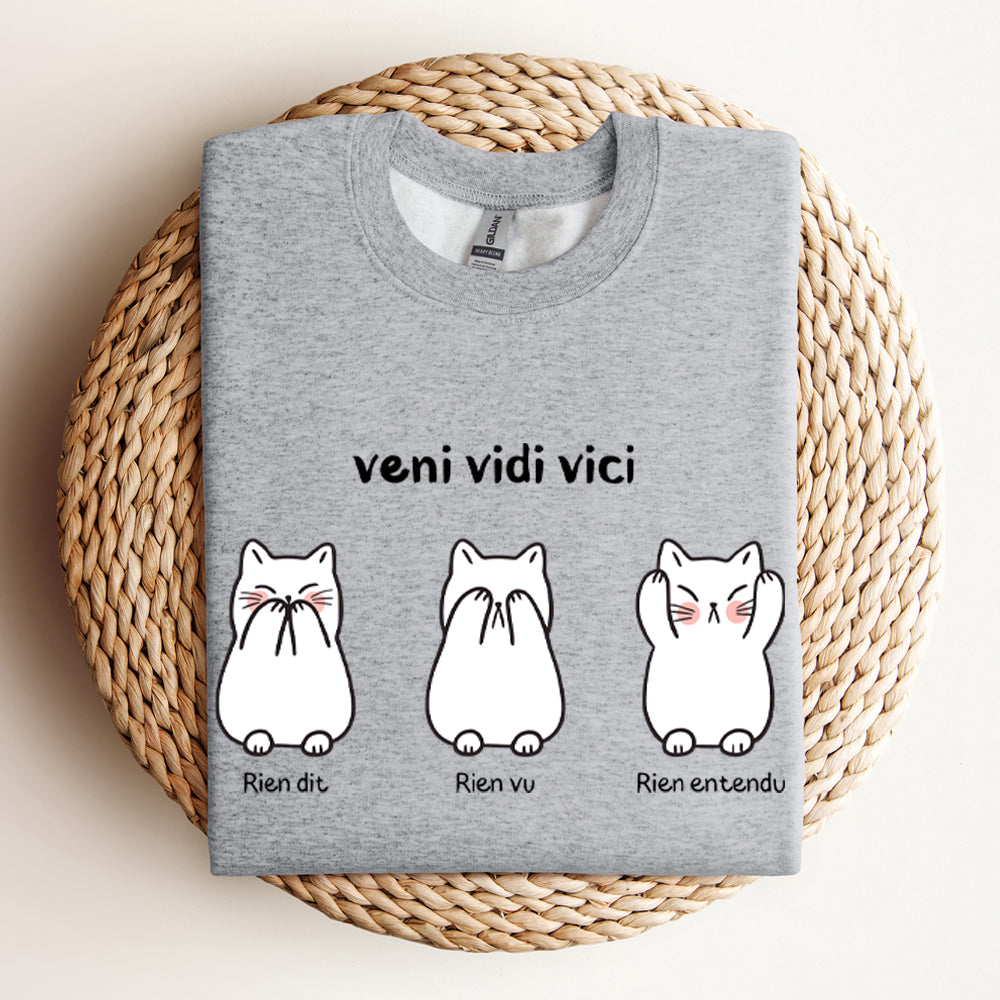 Crewneck - Veni vidi vici