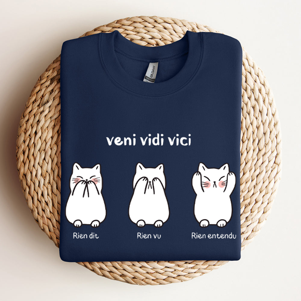 Crewneck - Veni vidi vici