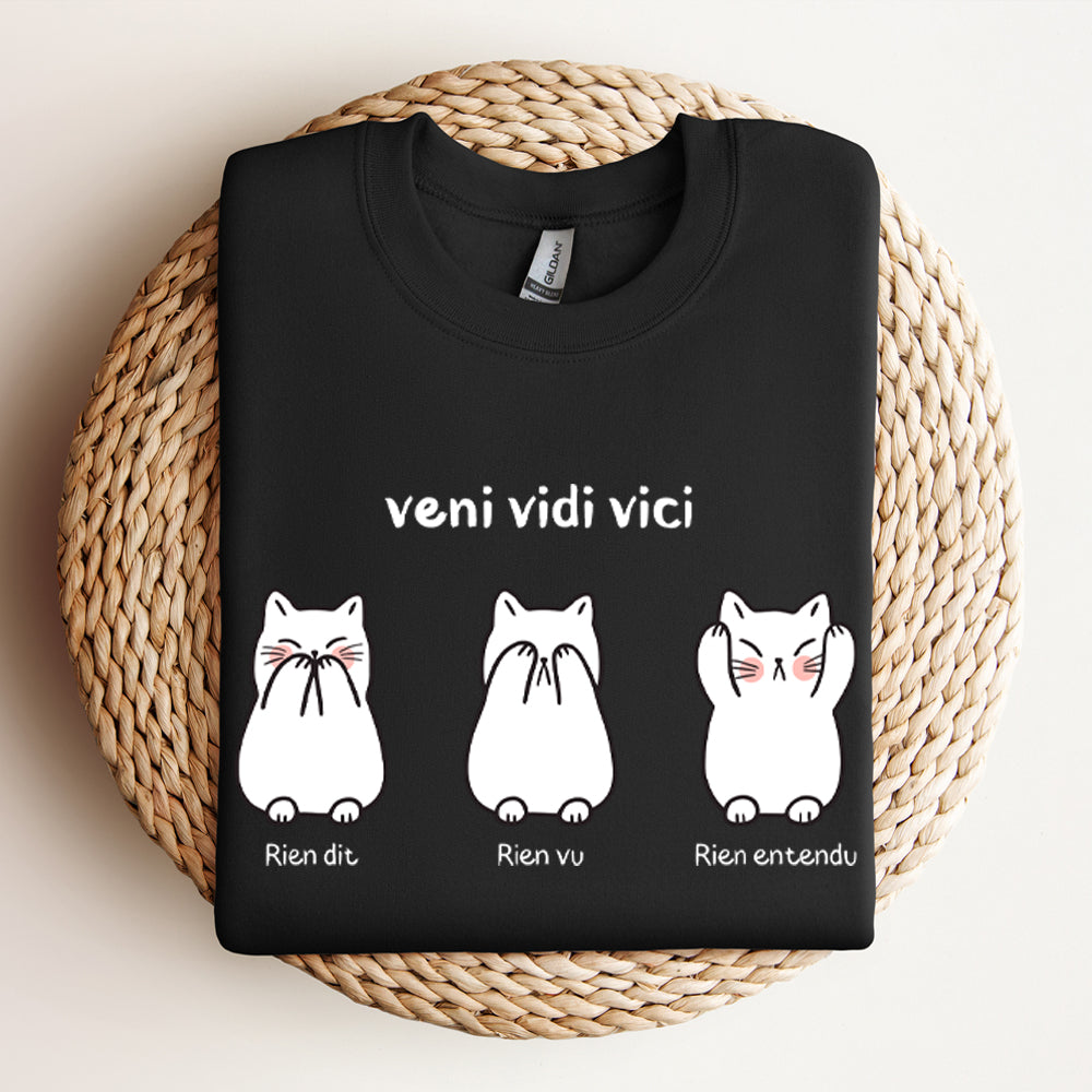 Crewneck - Veni vidi vici