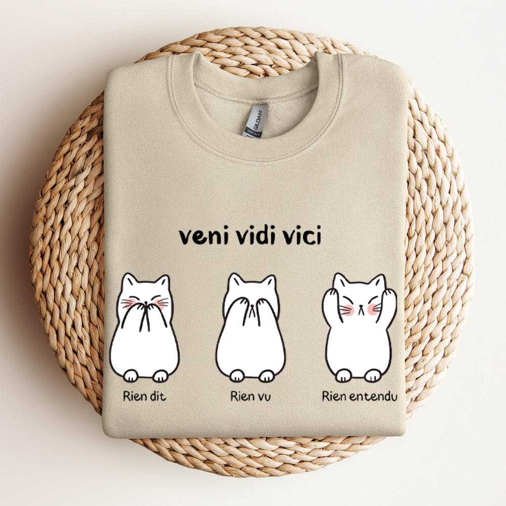 Crewneck - Veni vidi vici