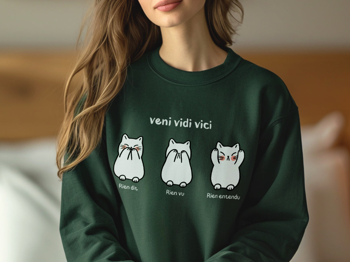 Crewneck - Veni vidi vici