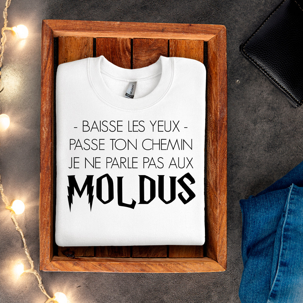 Crewneck - Baisse les yeux, passe ton chemin, je ne parle pas aux Moldus