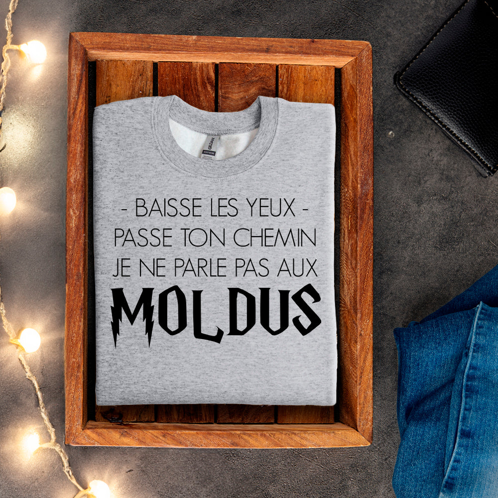 Crewneck - Baisse les yeux, passe ton chemin, je ne parle pas aux Moldus
