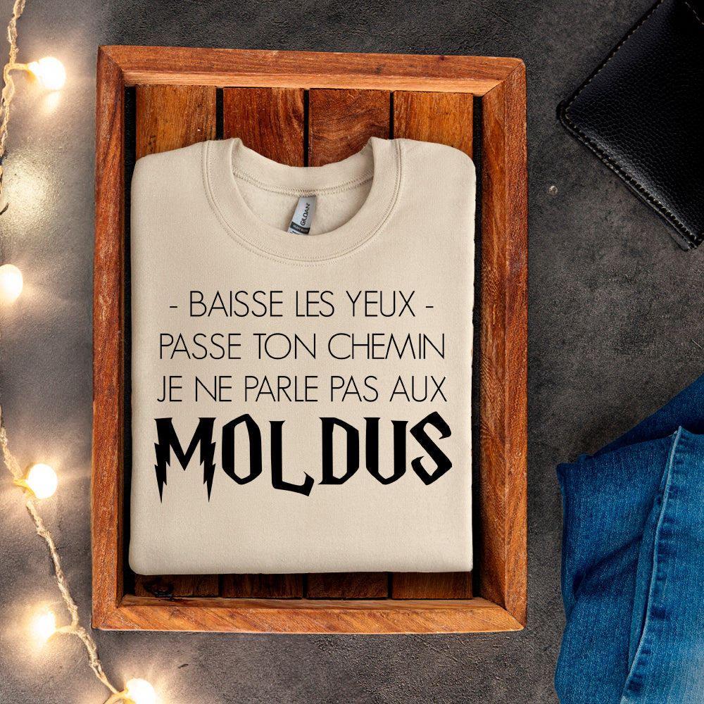 Crewneck - Baisse les yeux, passe ton chemin, je ne parle pas aux Moldus