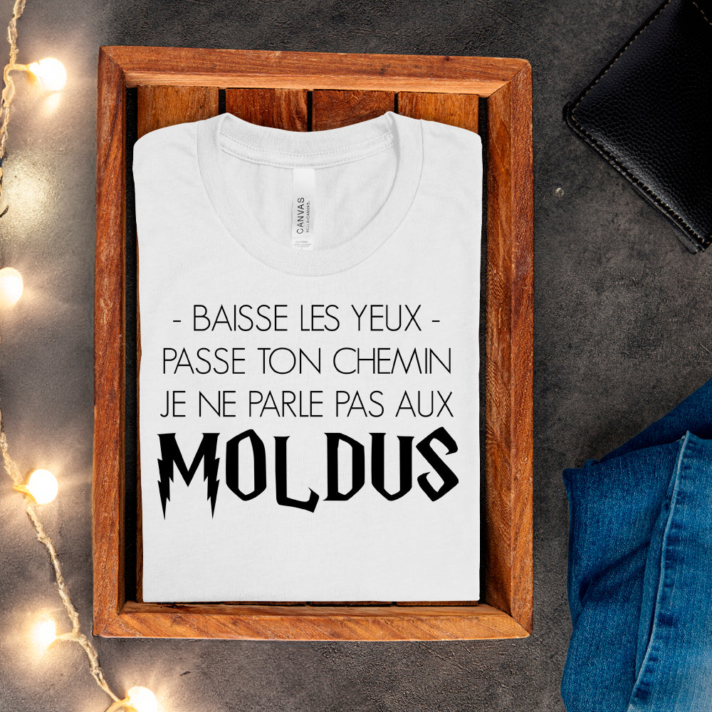 T-shirt - Baisse les yeux, passe ton chemin, je ne parle pas aux Moldus