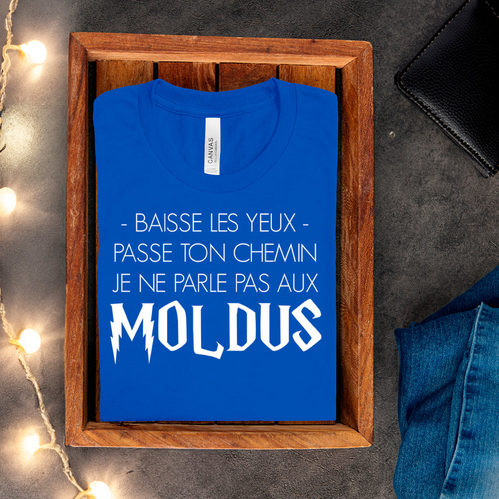 T-shirt - Baisse les yeux, passe ton chemin, je ne parle pas aux Moldus