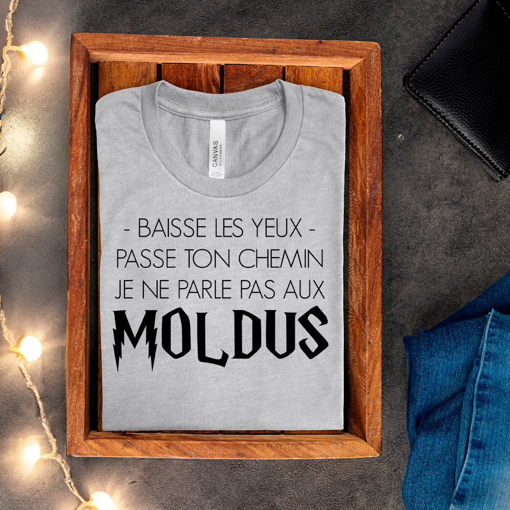T-shirt - Baisse les yeux, passe ton chemin, je ne parle pas aux Moldus