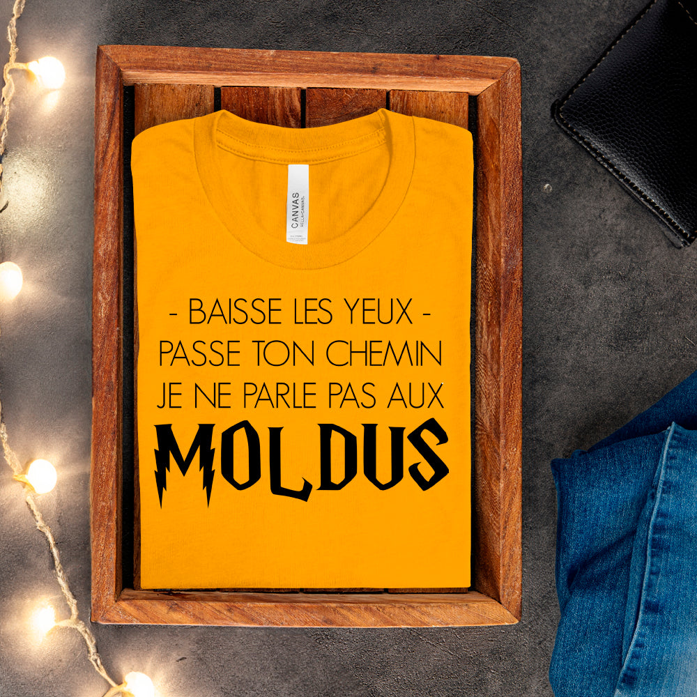 T-shirt - Baisse les yeux, passe ton chemin, je ne parle pas aux Moldus
