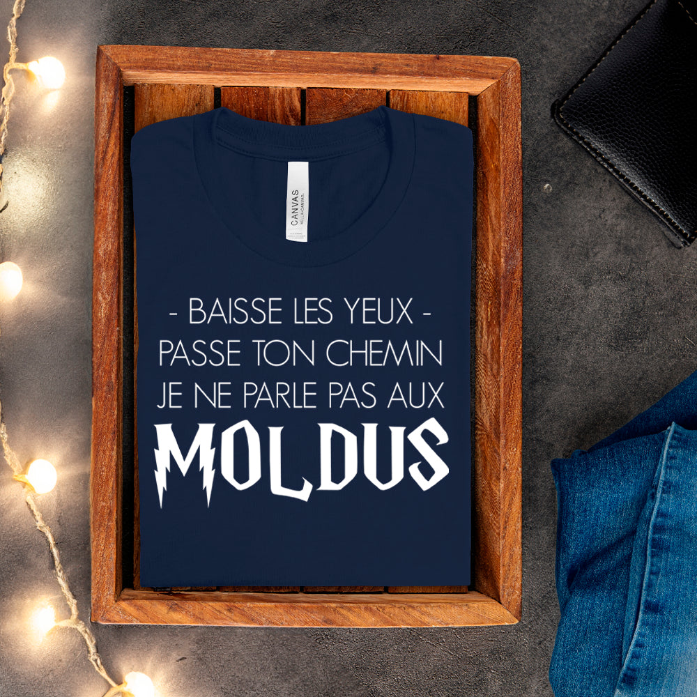 T-shirt - Baisse les yeux, passe ton chemin, je ne parle pas aux Moldus