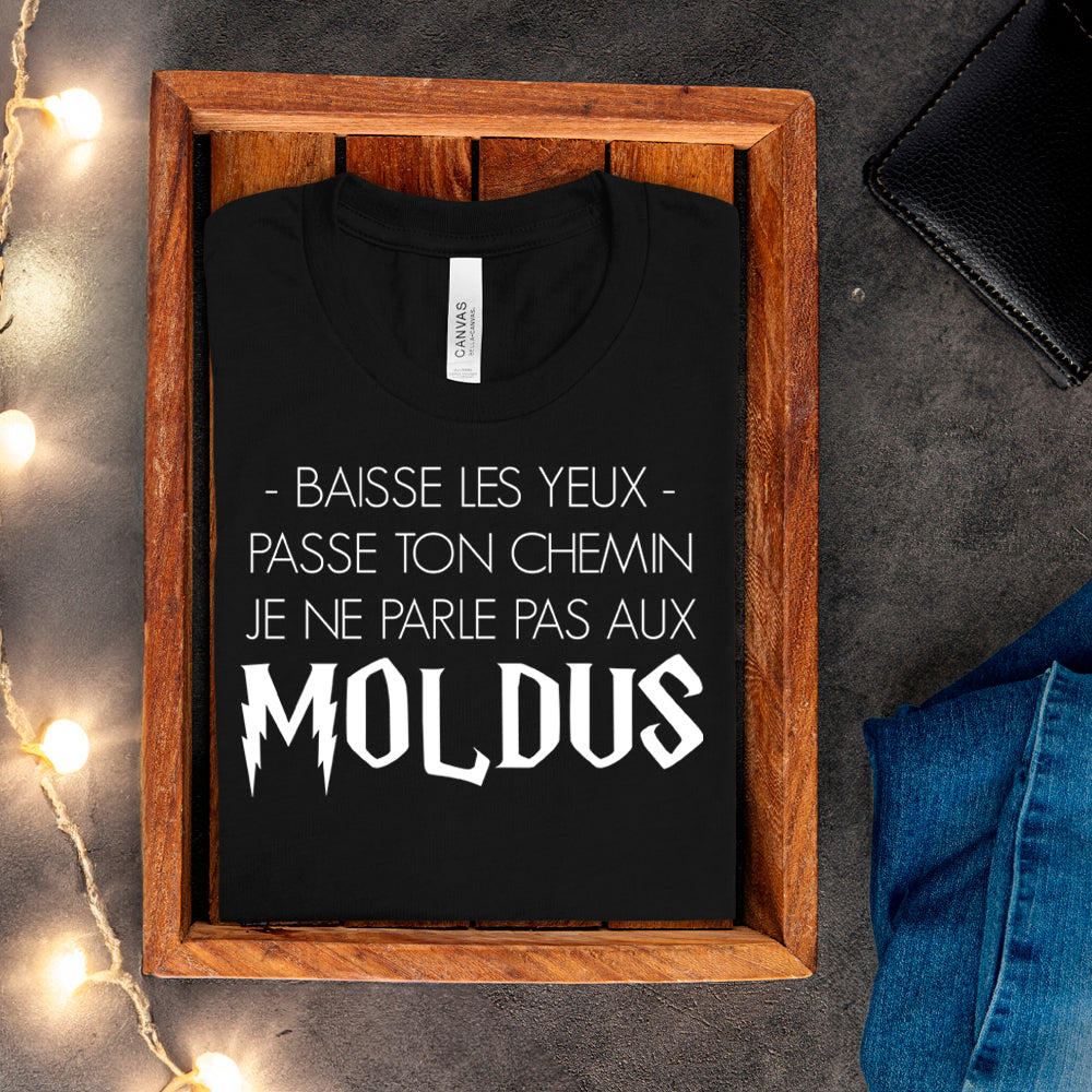 T-shirt - Baisse les yeux, passe ton chemin, je ne parle pas aux Moldus