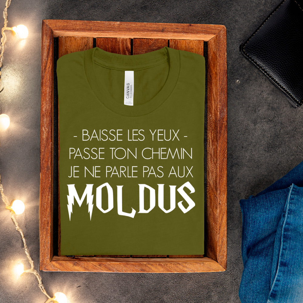 T-shirt - Baisse les yeux, passe ton chemin, je ne parle pas aux Moldus