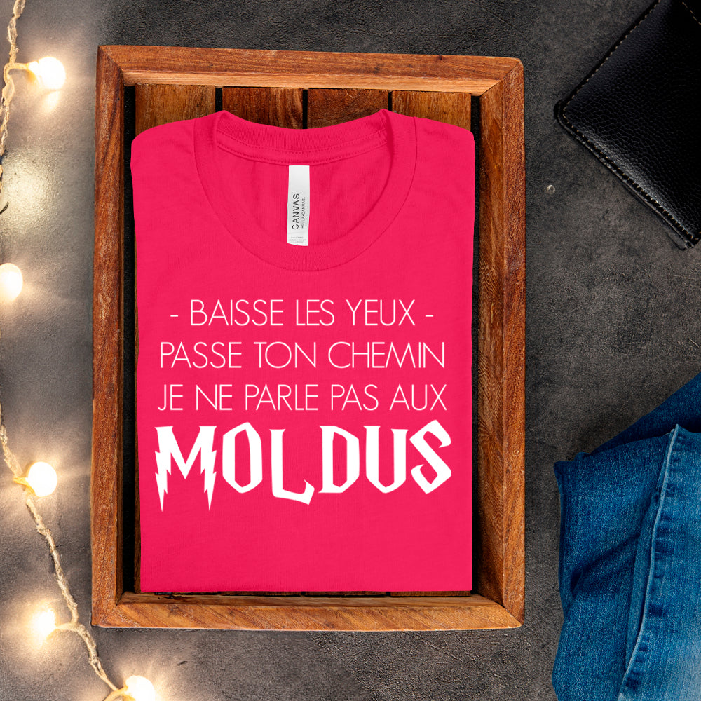 T-shirt - Baisse les yeux, passe ton chemin, je ne parle pas aux Moldus