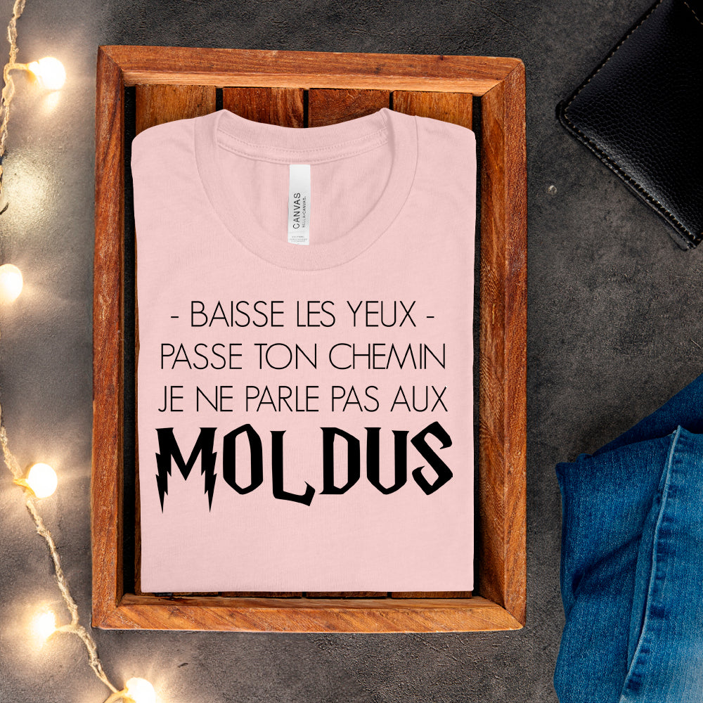T-shirt - Baisse les yeux, passe ton chemin, je ne parle pas aux Moldus