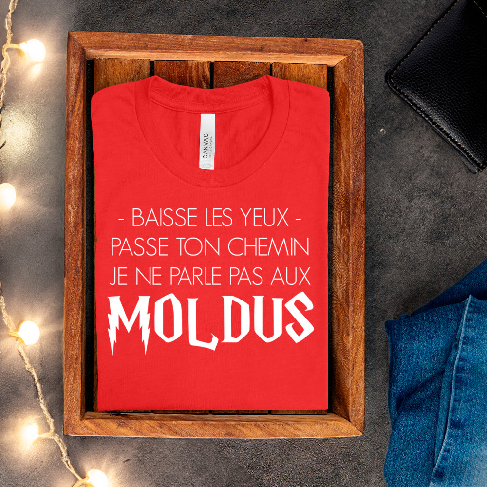 T-shirt - Baisse les yeux, passe ton chemin, je ne parle pas aux Moldus