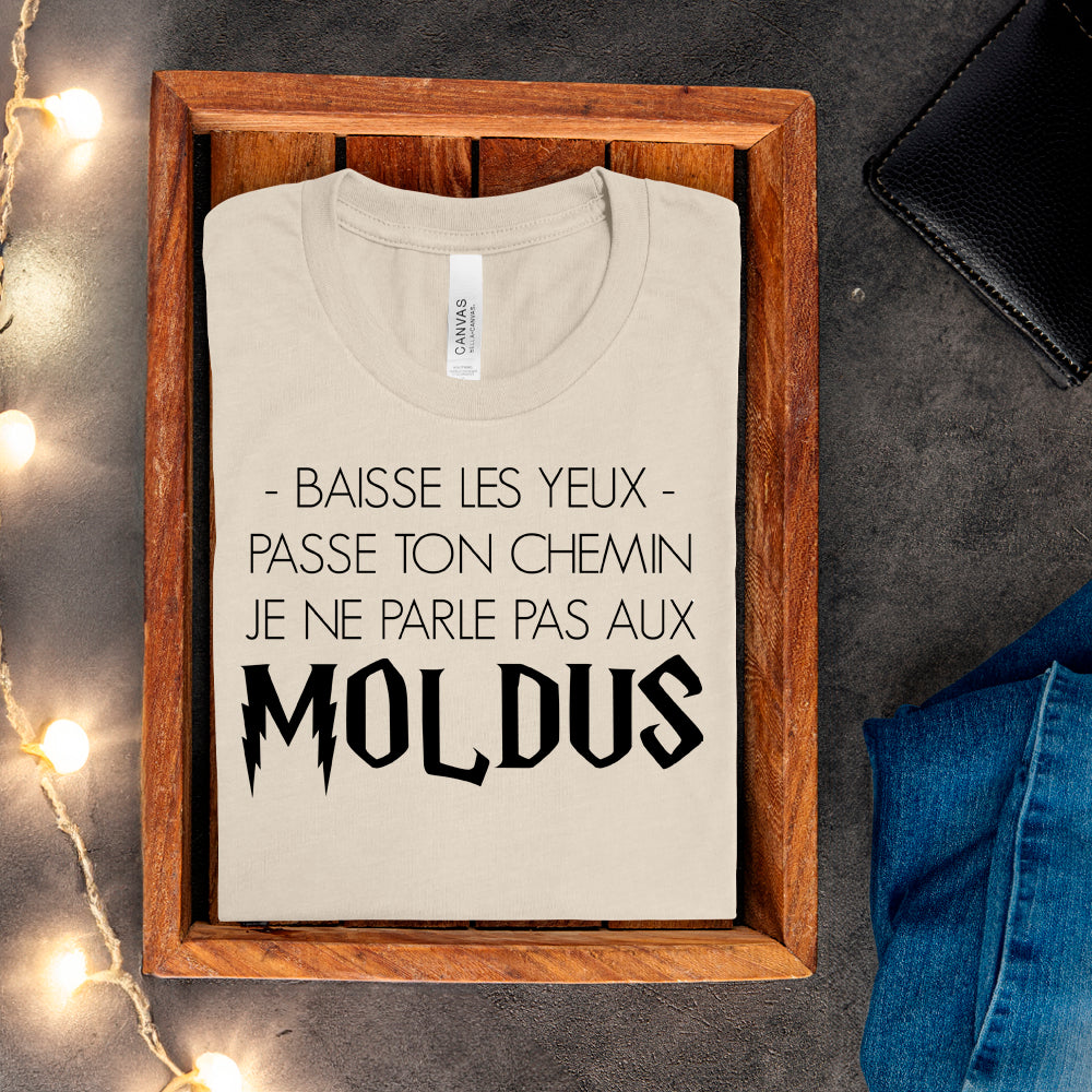 T-shirt - Baisse les yeux, passe ton chemin, je ne parle pas aux Moldus