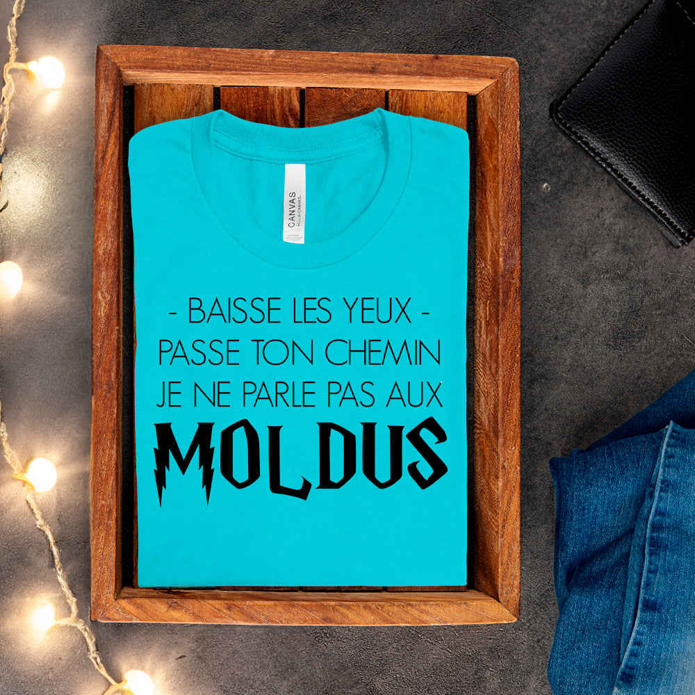 T-shirt - Baisse les yeux, passe ton chemin, je ne parle pas aux Moldus