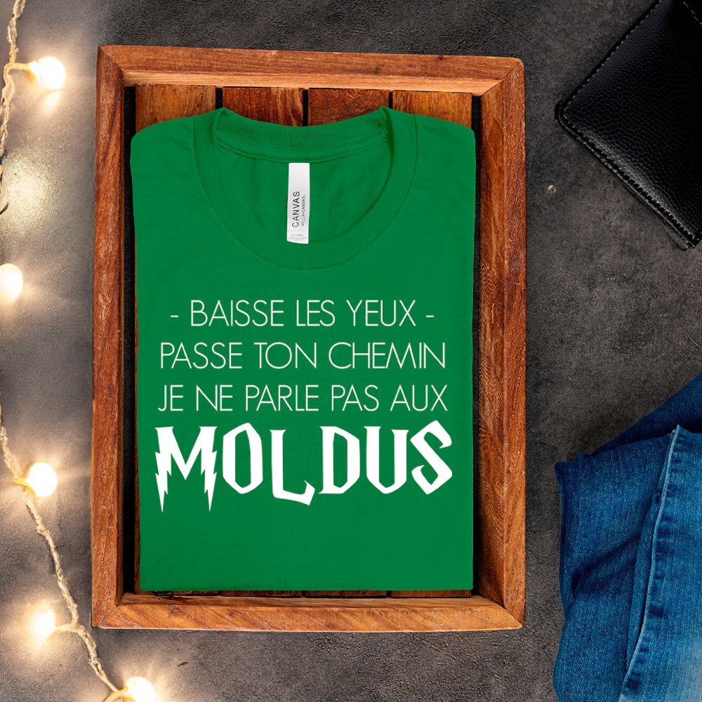 T-shirt - Baisse les yeux, passe ton chemin, je ne parle pas aux Moldus